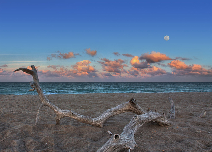 "South Florida's Nude Beaches"